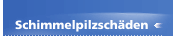 Schimmelpilzschäden